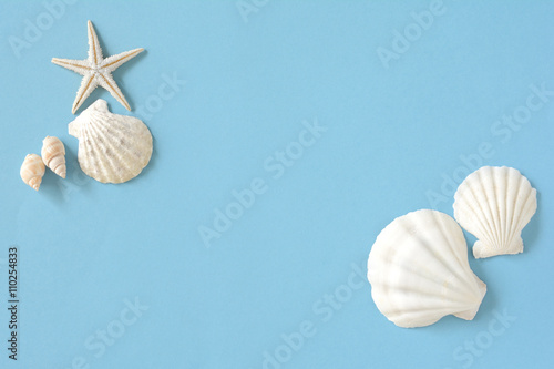 夏イメージ　貝殻とヒトデ　水色背景

 photo
