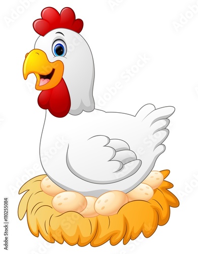 Cute hen brooding her egg