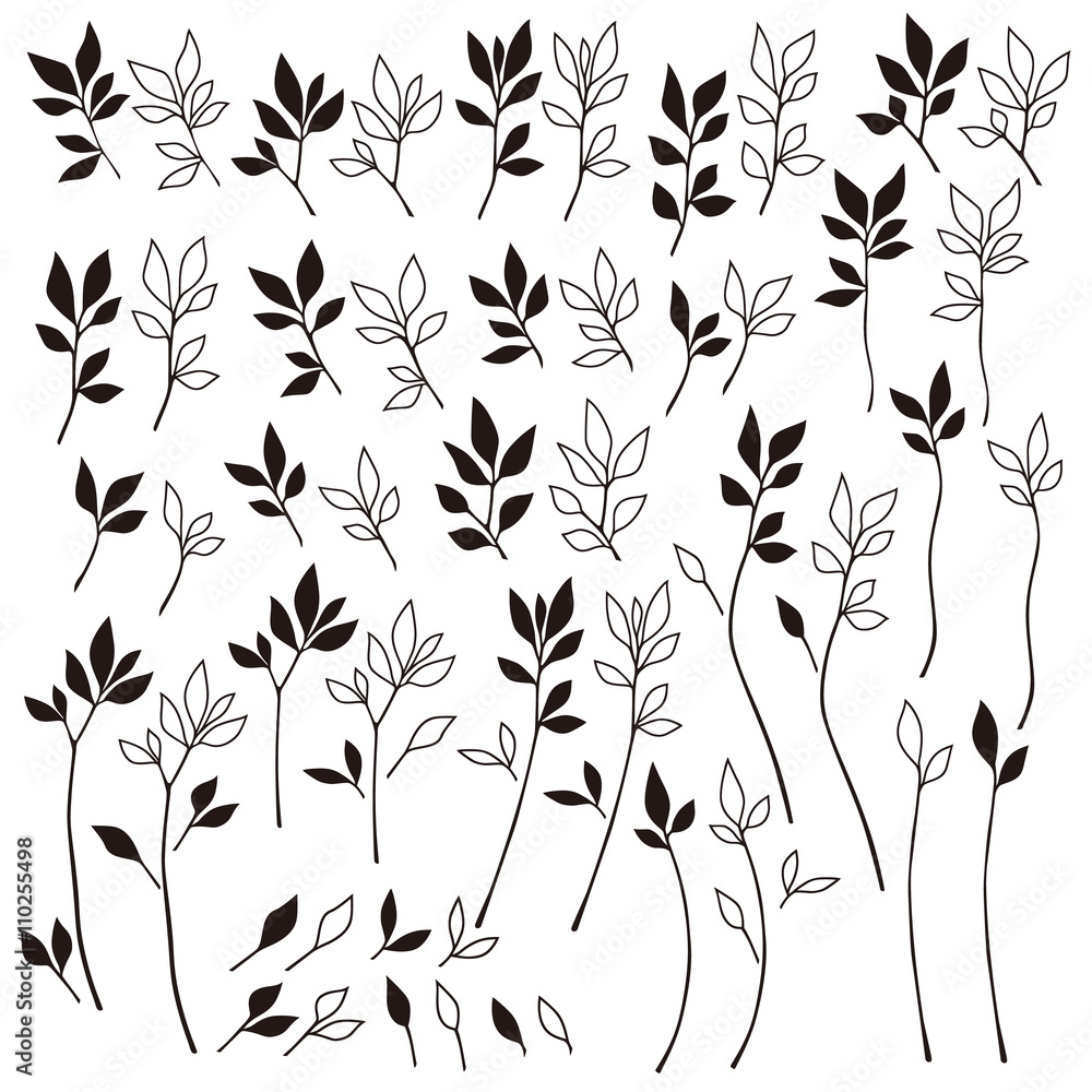 Fototapeta premium 植物のイラスト