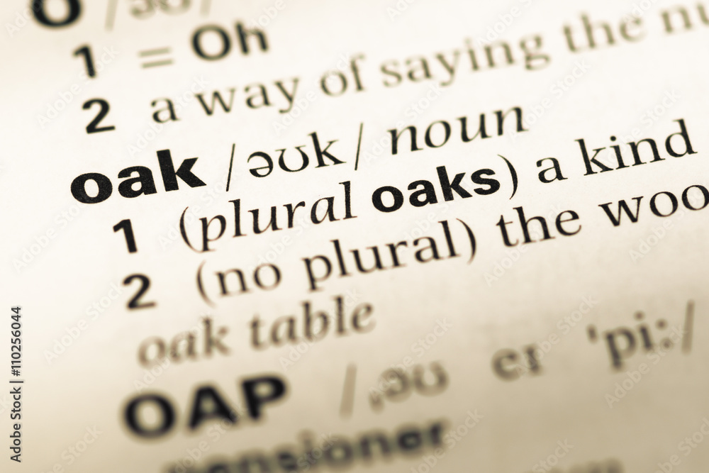 Close up of old English dictionary page with word oak Close up of old English dictionary page with word oak