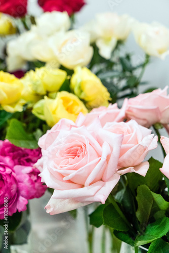colorful roses