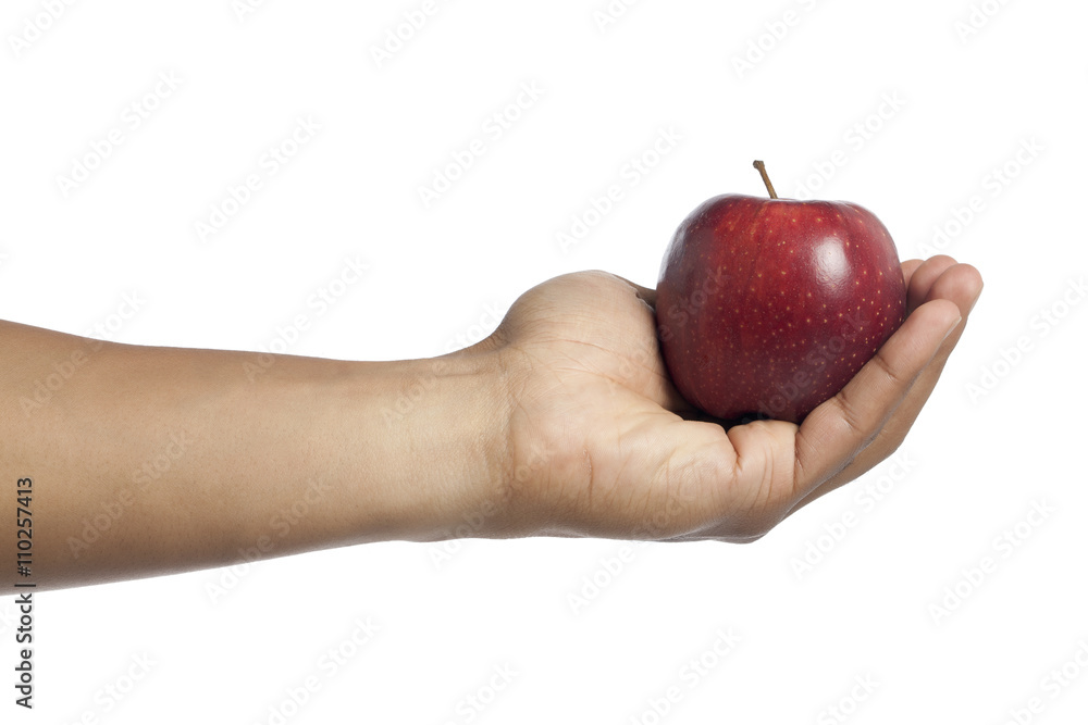 human hand holding red apple human hand holding red apple