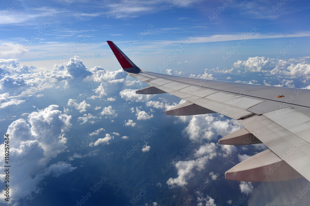 Fototapeta premium Plane Wing
