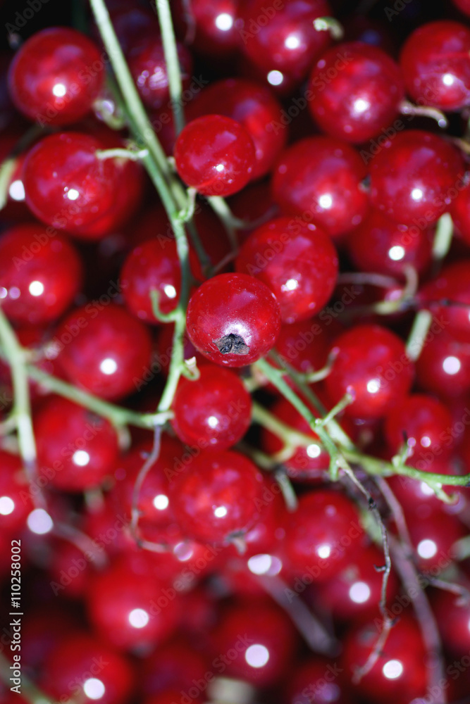 scattering of red currants scattering of red currants