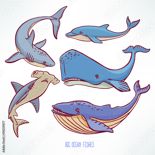 big ocean creatures