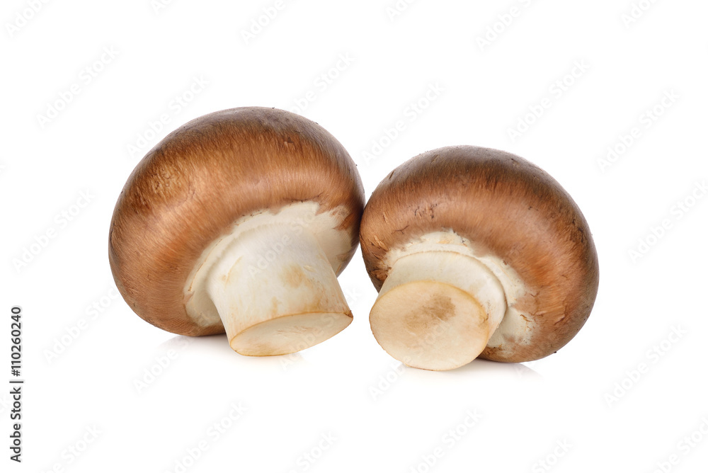 uncooked Swiss Champignon brown mushroom on white background uncooked Swiss Champignon brown mushroom on white background
