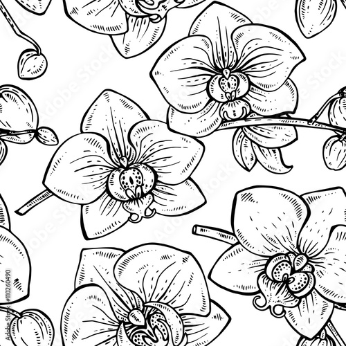 Floral seamless pattern with hand drawn orchid flowers