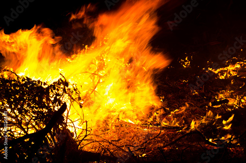 Forest Fire Burning at Night