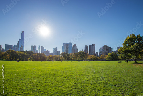 Sheep's Meadow at Central Park on a clear summer day