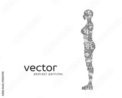 Vector illustration of female body