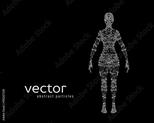 Vector illustration of female body