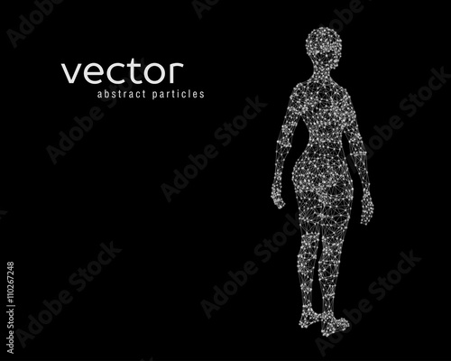 Vector illustration of female body