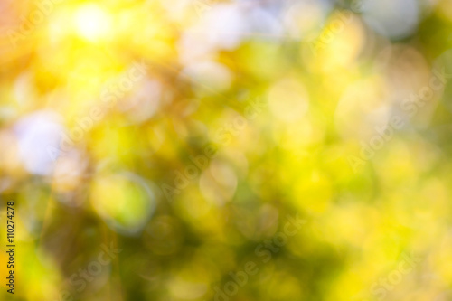 Blur, blur in nature