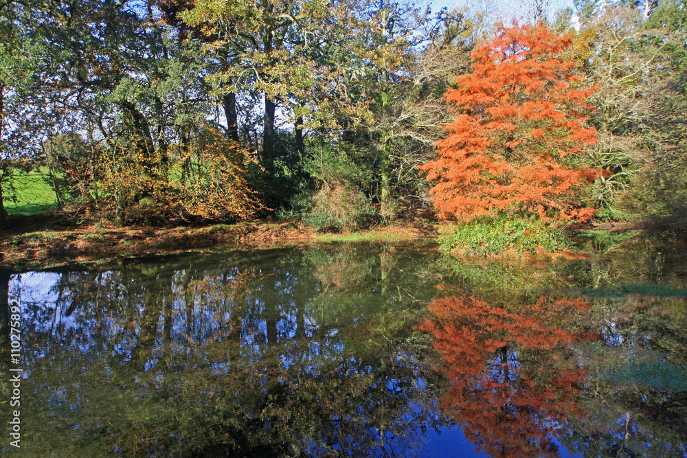 Lake in Autumn