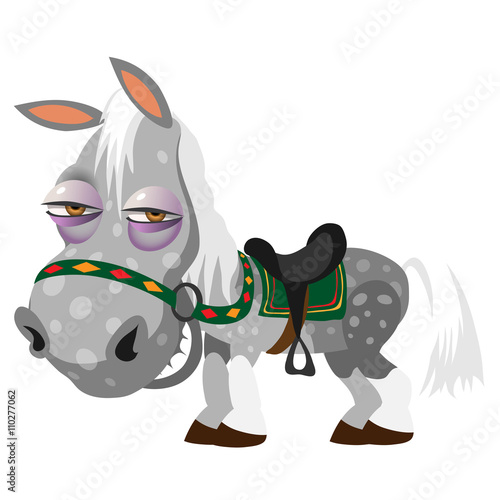Gray spotted horse, animal cartoon isolated