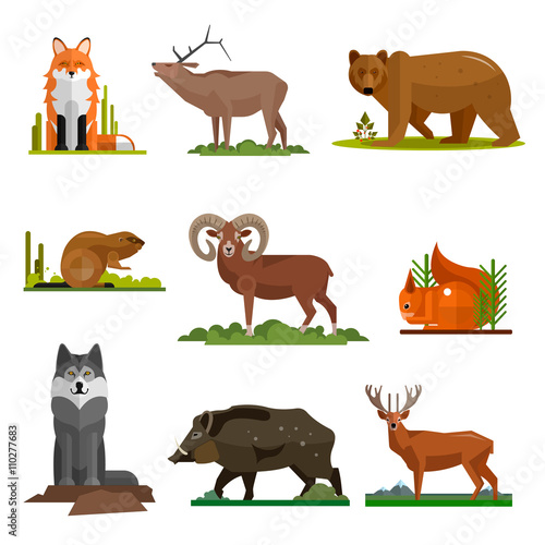 Mammal animals vector set in flat style design. Zoo cartoon icons collection. 