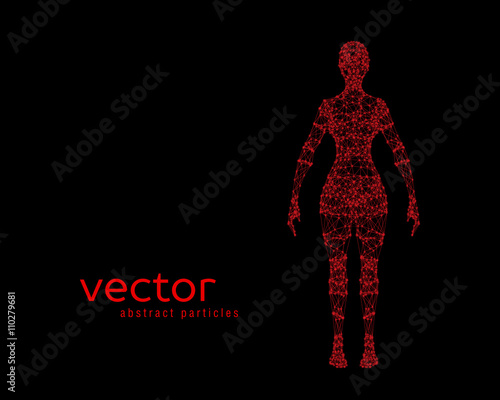 Vector illustration of female body