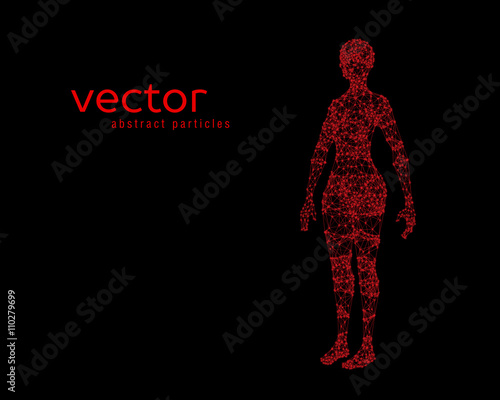 Vector illustration of female body