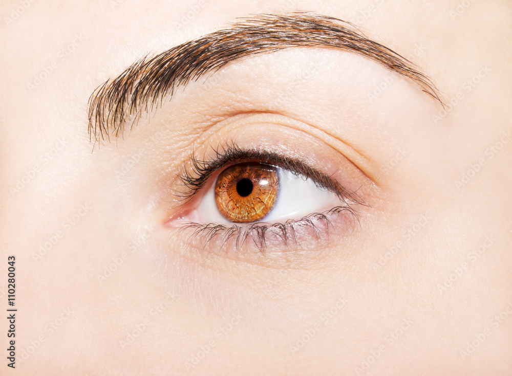 Fototapeta premium wnikliwe spojrzenie na brązowe oko