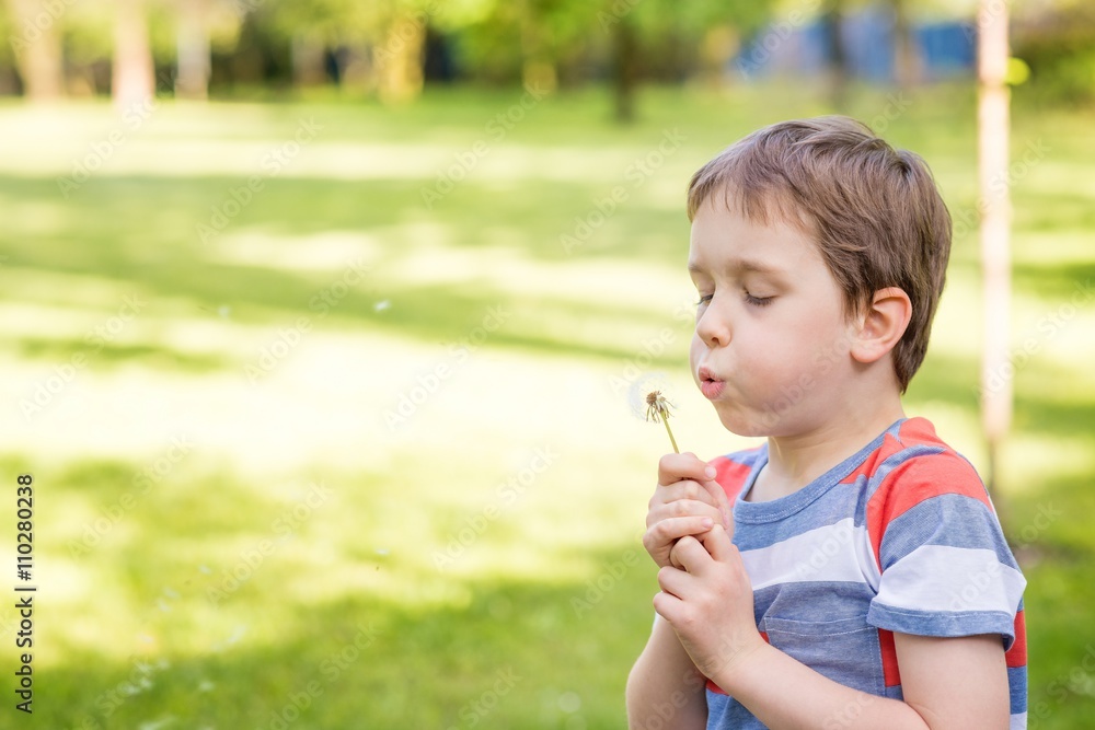 Sweet little boy blowing a dandelion Sweet little boy blowing a dandelion