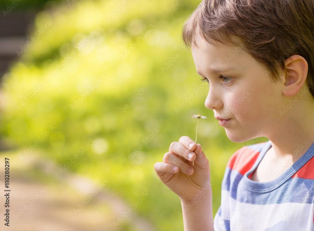 Sweet little boy smelling a daisy Sweet little boy smelling a daisy