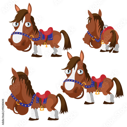 Brown horse in harness with different angles