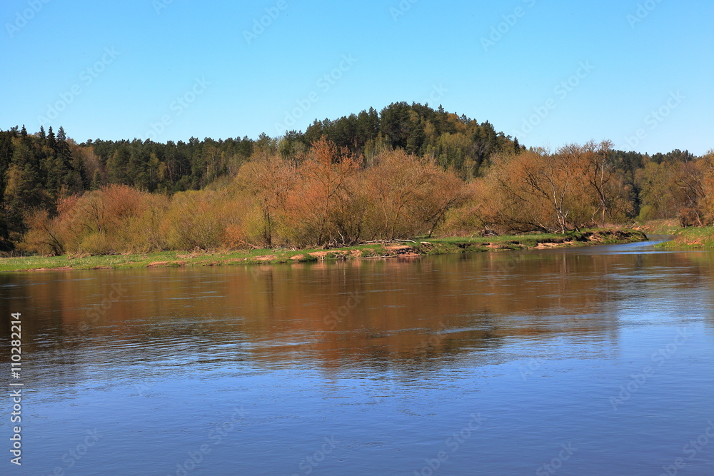 Island Neris in the river Island Neris in the river