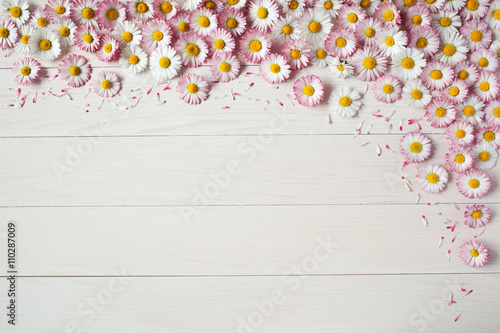 Fototapeta Naklejka Na Ścianę i Meble -  Light wood background with daisies