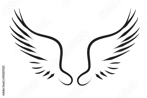 Vector silhouette of a wings.