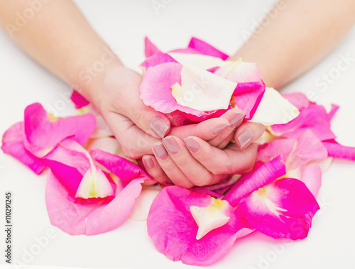 Hands with natural color nails manicure holding bright pink rose petals