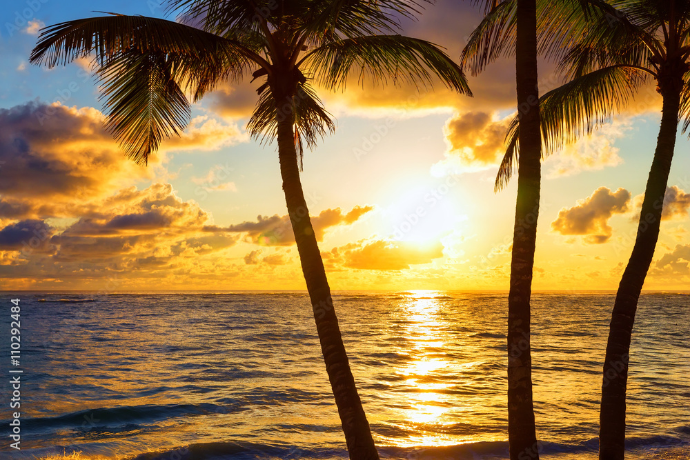 palm trees on colorful sun set