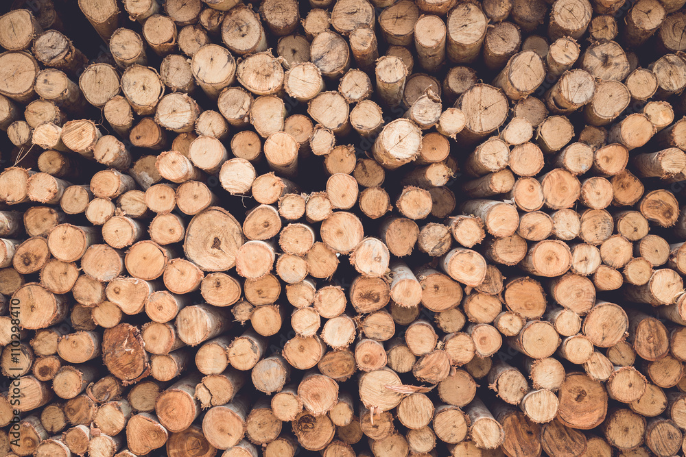 Stacked of wood log for construction buildings background Stacked of wood log for construction buildings background