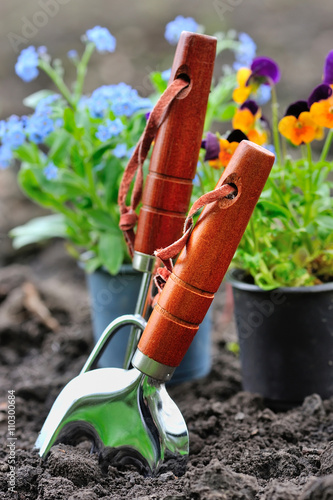 Gardening tools and spring flowers in the garden