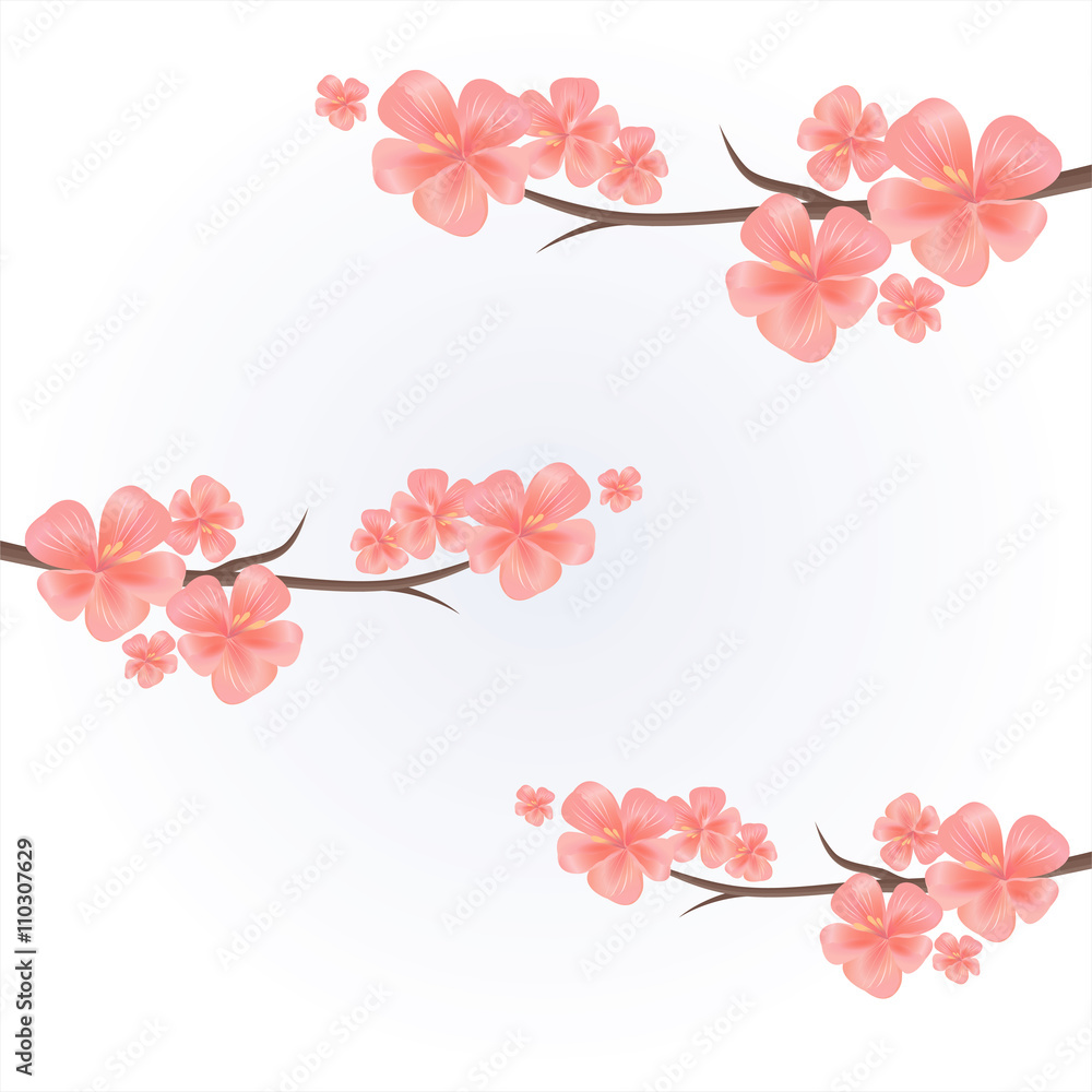 Fototapeta premium Flowers background. Flowers design. Apple tree flowers. Branches of sakura with flowers on light-blue. Cherry blossom branch. Vector 