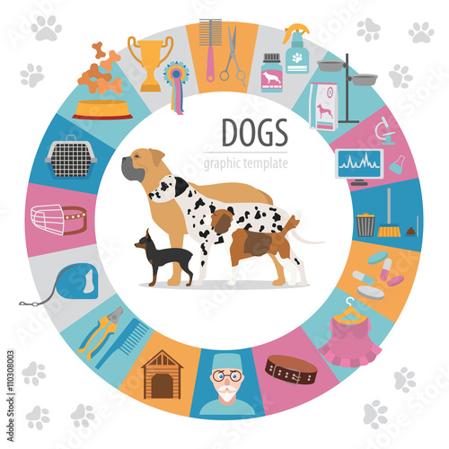 Dog info graphic template. Heatlh care, vet, nutrition, exhibiti photo