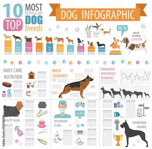 Dog info graphic template. Heatlh care, vet, nutrition, exhibiti