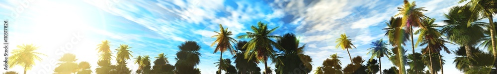 palm grove, panorama, 3D rendering.
Palm trees against the blue sky with clouds.
