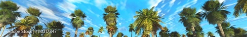 palm grove, panorama, 3D rendering. Palm trees against the blue sky with clouds. 