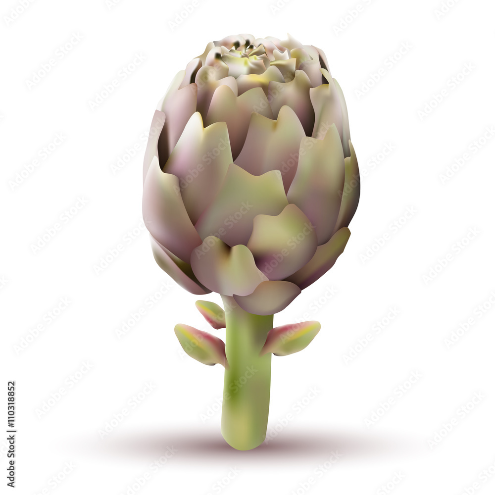 Obraz premium Carciofo