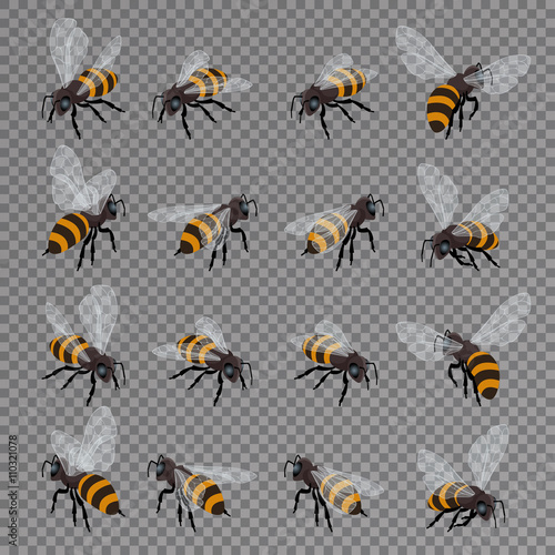 Honey bee vector set on a transparent background. Flat 3d vector isometric illustration. Honey natural healthy food production.