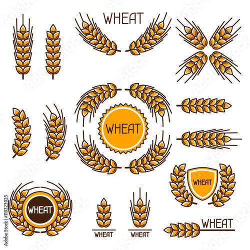 Design elements with wheat. Agricultural image natural ears of barley or rye. Objects for decoration bread packaging, beer labels