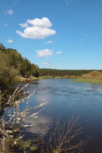 Neris river in spring