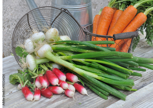 carottes, oignons et radis frais dans panier