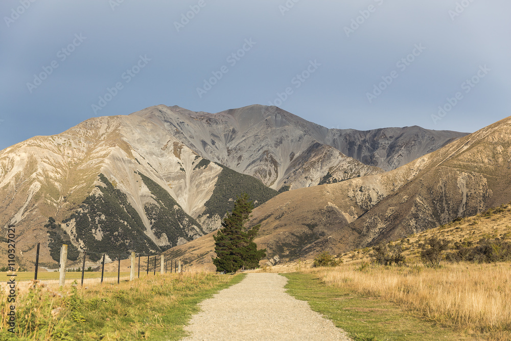 Fototapeta premium Castle hill, New Zealand