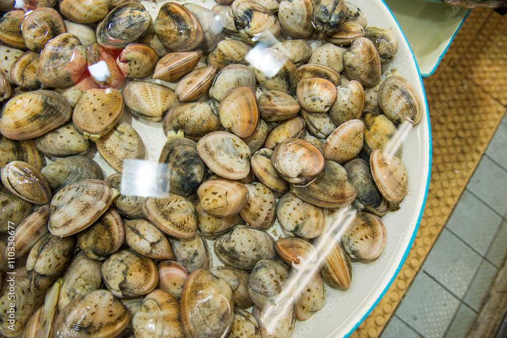 Small live clams being stored in water at market in Asia Small live clams being stored in water at market in Asia