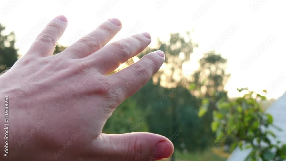 Sun's rays through fingers palm Sun's rays through fingers palm