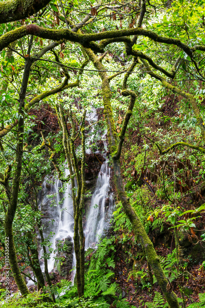 Waterfall in the forest Waterfall in the forest