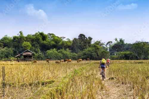 Tourists cycling in the countryside at Vang Vieng, Vientiane Province, Laos.