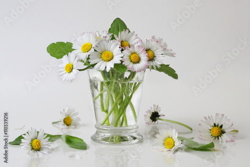Bouquet of daisy flowers in a vase. Romantic floral decoration with posy of daisies flowers in a vase. Bellis perennis flowers.