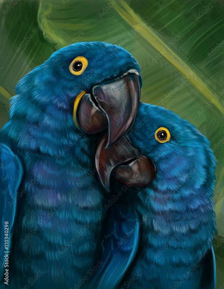 Пара попугаев Stock Illustration | Adobe Stock